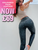 Colour_FL_UK_LIVE_1-Freddy UK